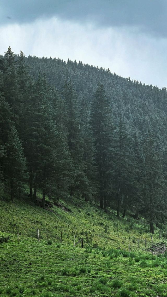 武威上寺—我的阿勒泰