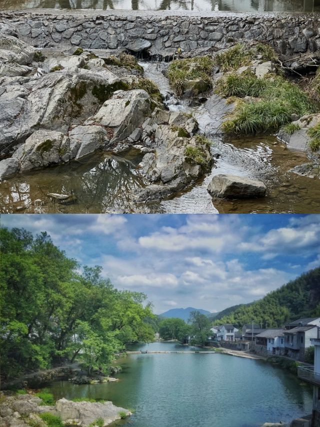余姚！寧波開車1小時！樹屋民宿！city！！！