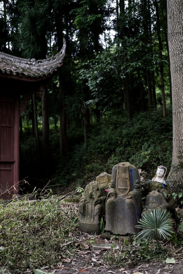 香積寺探幽 | 合谷山居專屬行山體驗