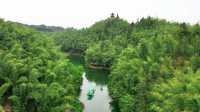 樂山美拉酒店與沐川竹海的邂逅