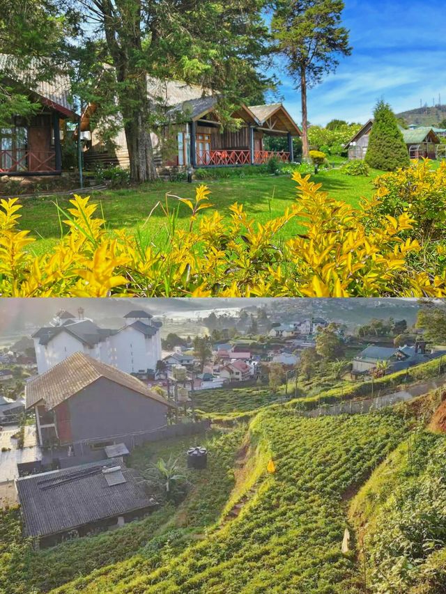 一帖搞掂！！努沃勒埃利耶玩樂、住宿超實用指南！