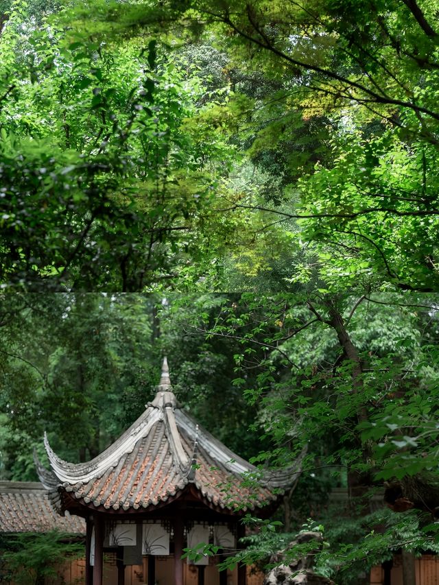 成都受罪已回，真唔建議6月份嚟