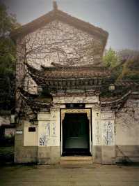 The Whispering Walls: Yuelu Academy's Millennia of Wisdom