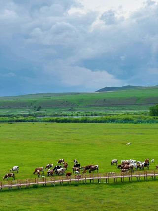 Hulunbuir | 5 Nights 6 Days Off-Road Adventure on the Grassland