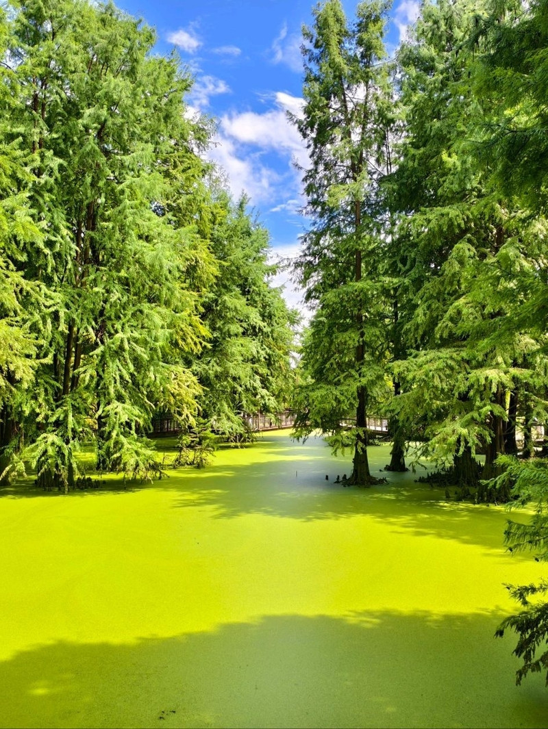 画材 Matcha Lake 1mi3y12000lobqz2y4427_Q90.jpg?