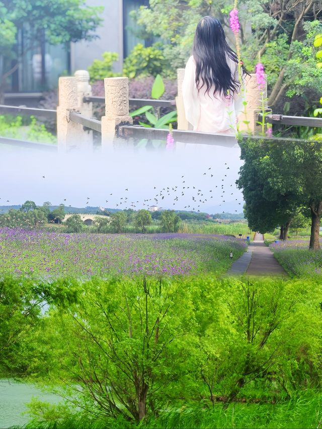 上海周邊必衝！一頭扎進太湖畔嘅避暑溫柔鄉