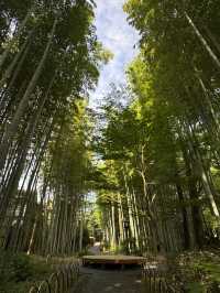 修善寺嘅新井旅館令浸溫泉睇螢火蟲變得輕鬆愜意
