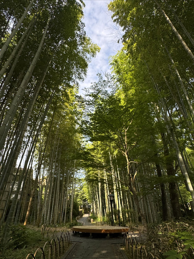 修善寺嘅新井旅館令浸溫泉睇螢火蟲變得輕鬆愜意
