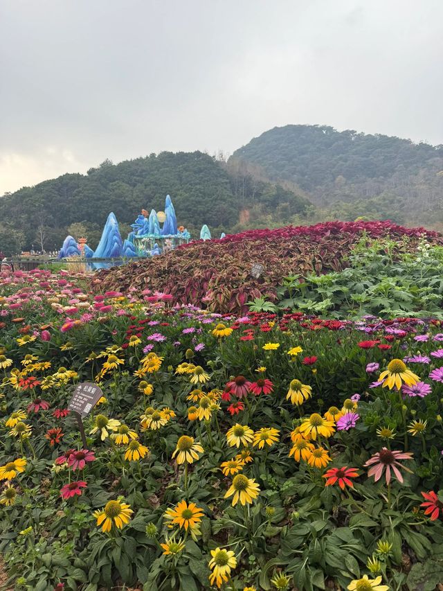 南寧青秀山｜綠野仙蹤已逛