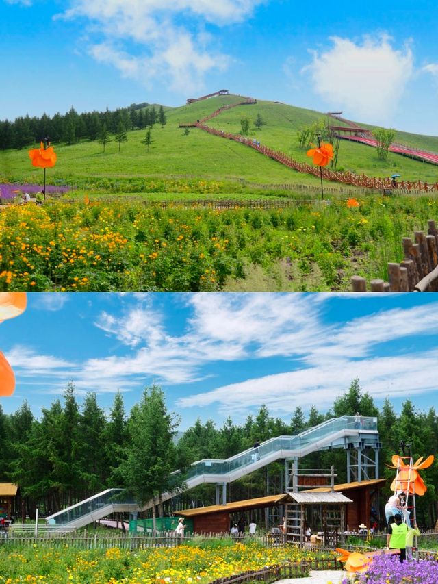 闖入現實版綠野仙蹤！七彩森林太好逛啦