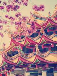 タイトル：廈門の隠れ家的絶景スポット！天竺岩寺で春の紫陽花と禅の世界を満喫