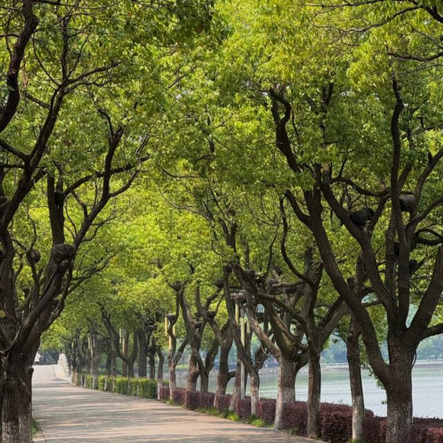 銅陵夏日消暑指南|兩日一夜玩樂攻略