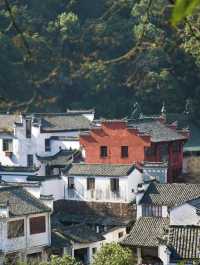 唔使去到巴厘島，車程2小時就可以住進避暑森林樹屋
