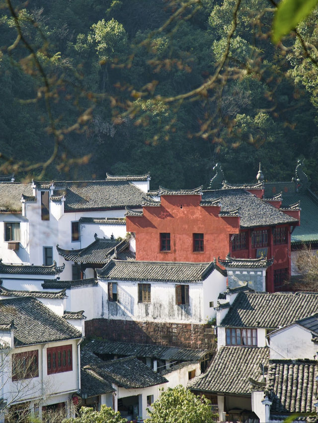 唔使去到巴厘島，車程2小時就可以住進避暑森林樹屋