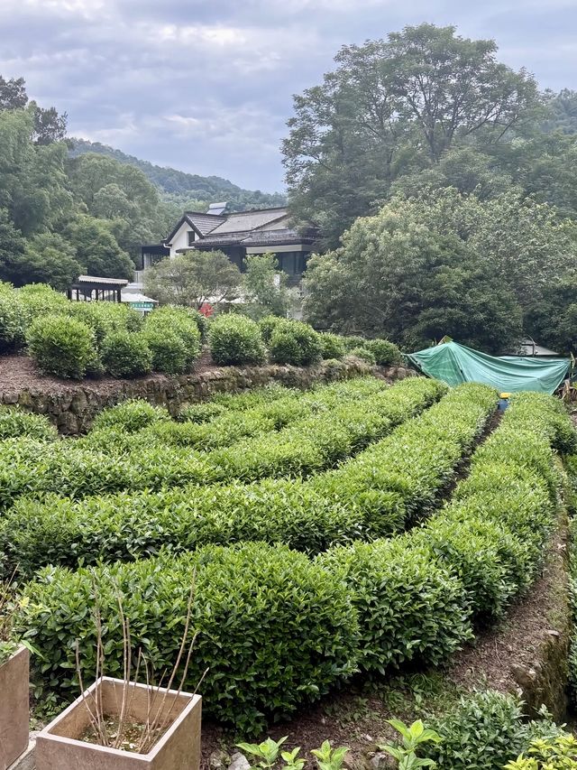 西湖邊必食美食清單