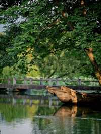 團建乘船入芳菲｜治癒夏日浮躁靈魂！