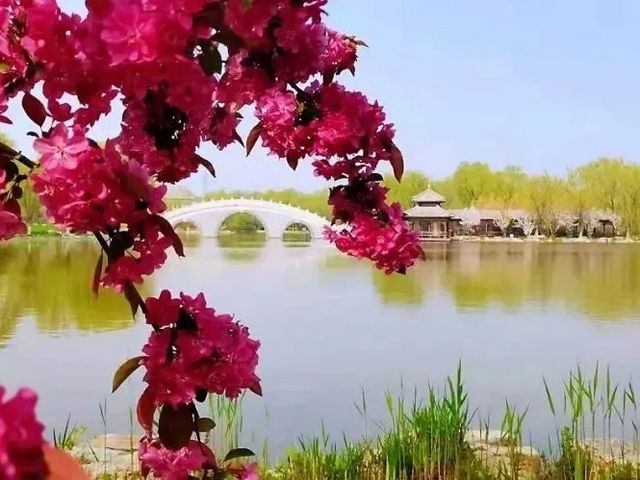盛夏嚟天津，呢幾個露營地必打卡！
