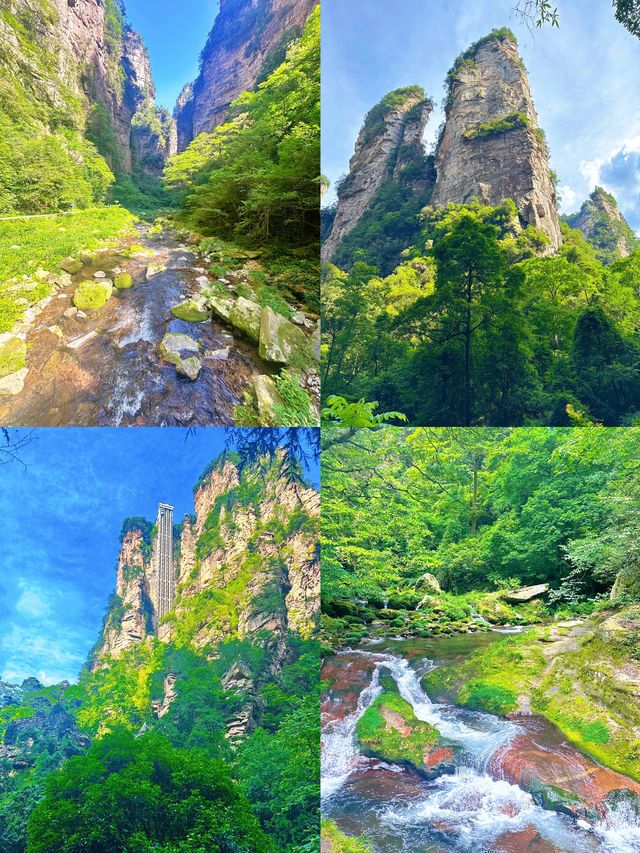 張家界避坑指南