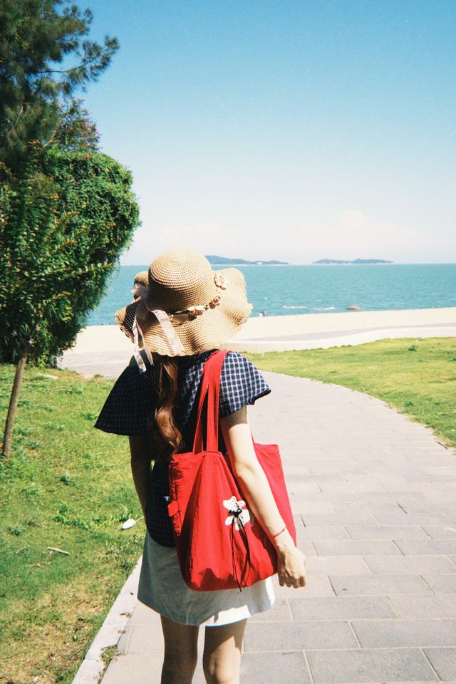椰林海景絕美視角
