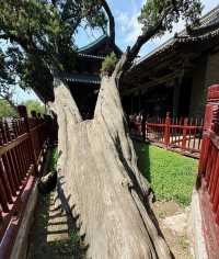 晉祠：一園盡藏晉地風華，半部中國建築史