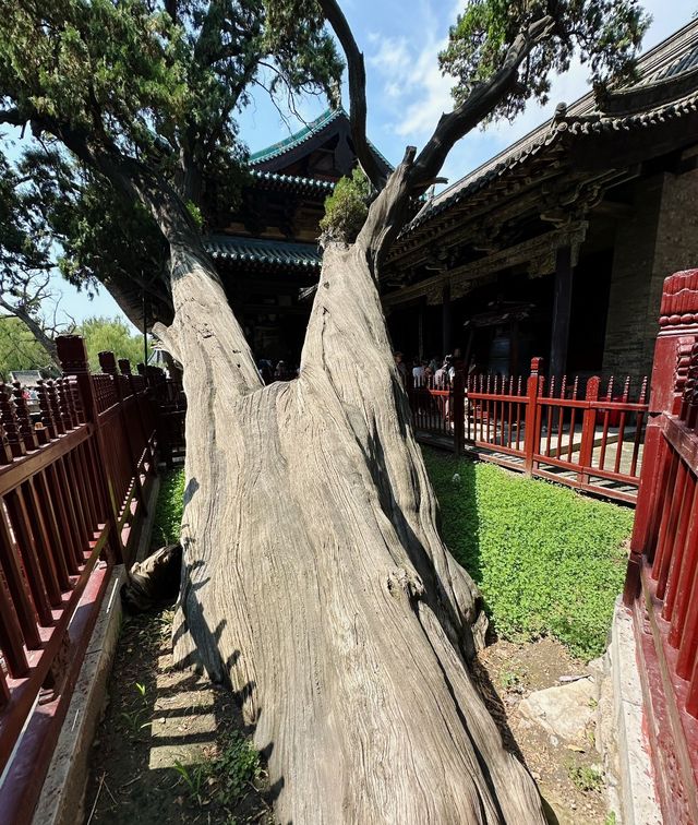 晉祠：一園盡藏晉地風華，半部中國建築史