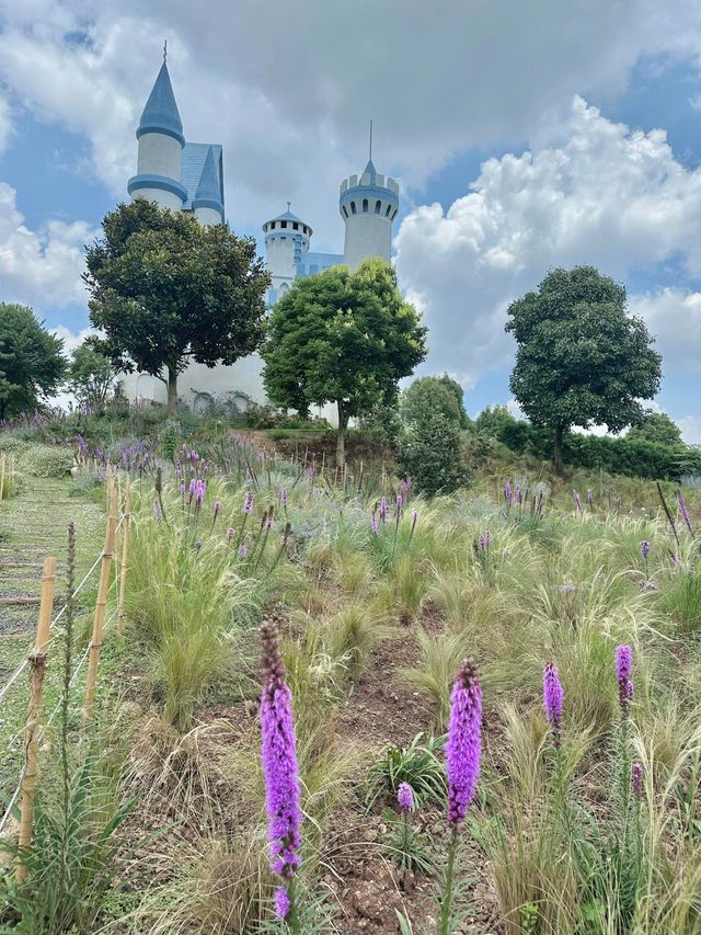7月🪻春城點可以唔去花園影相昆明小唐頓