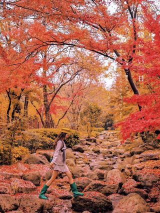 After the Beginning of Autumn, I have already started looking forward to autumn in Qingdao…