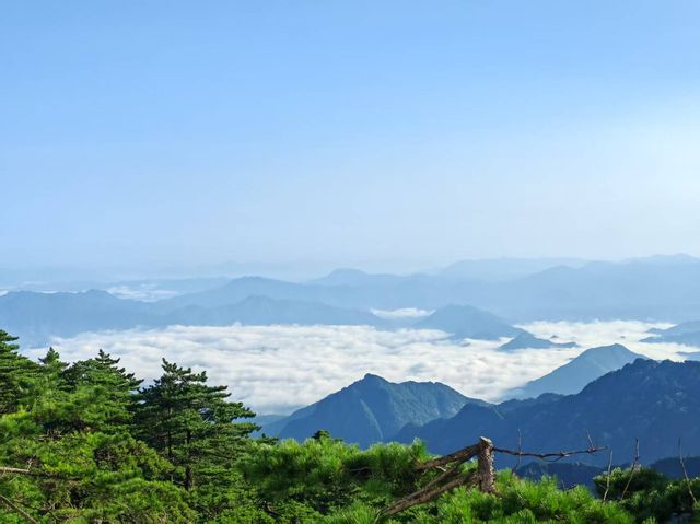 黃山美景帶娃輕鬆遊