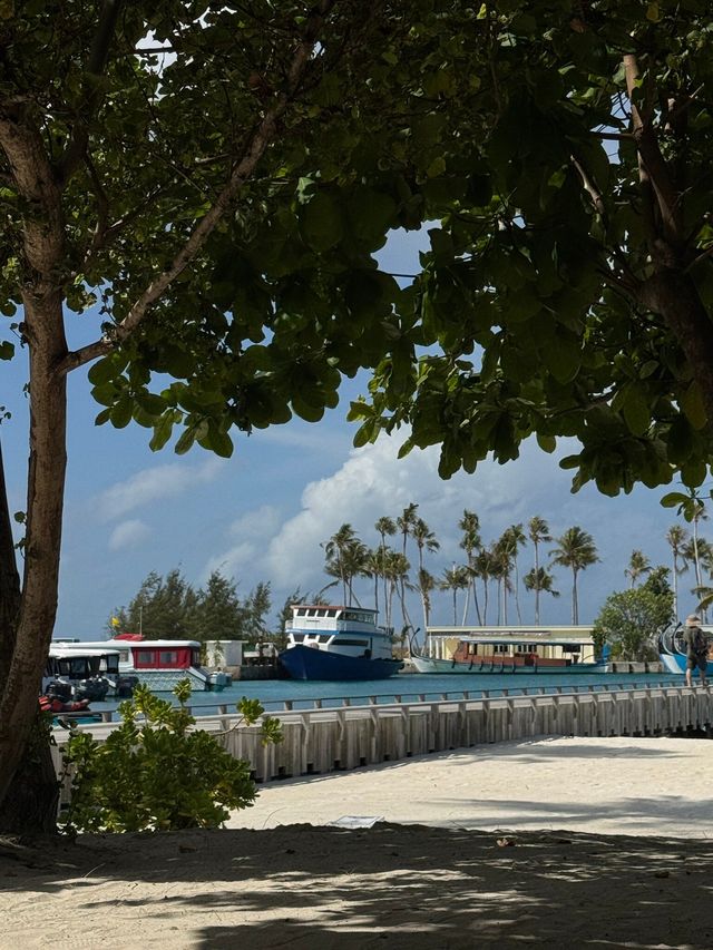An Unforgettable Stay at Siyam World