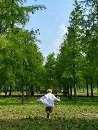 上海最好的公園都是免費的（合集附位置）