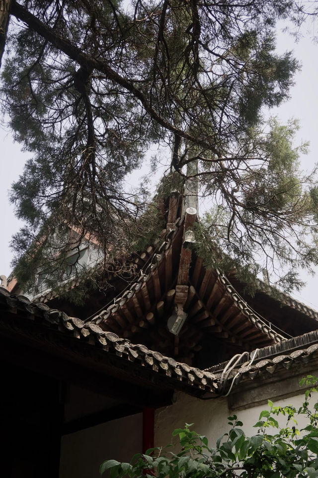 好的,大明寺是中國一座歷史悠久、地位崇高的著名佛教寺院。它最廣為人知的是與唐代高僧鑒真的深厚淵源。  好的,大明寺是中國一座歷史悠久、地位崇高的著名佛教寺院。它最廣為人知的是與唐代高僧鑒真的深厚淵源。