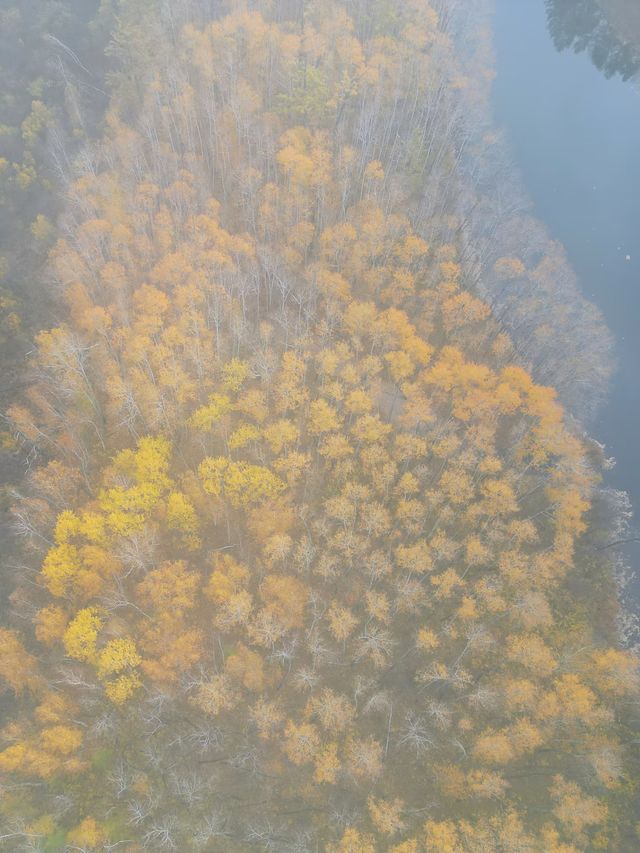 伊克薩瑪,我願稱之為大興安嶺之最 伊克薩瑪,我願稱之為大興安嶺之最