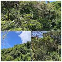 深圳馬巒山|零門票賞瀑吸氧!都市人的「半小時逃離計劃」🌿