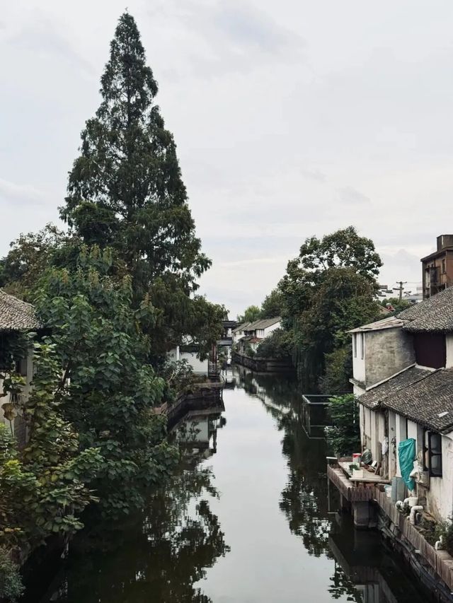 嘉興：一座「江南水鄉」裡的隱藏寶藏，你知道嗎？