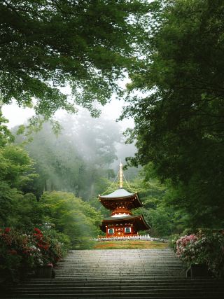 A hidden serene heaven moments from Osaka
