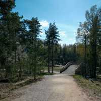 🚴‍♀️ Bicycle Tour Through Helsinki’s Forests: Urban Nature at Its Best