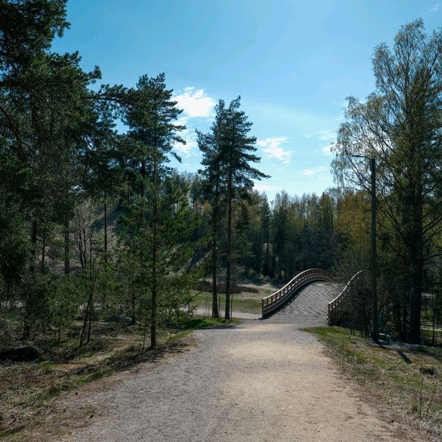 🚴‍♀️ Bicycle Tour Through Helsinki’s Forests: Urban Nature at Its Best