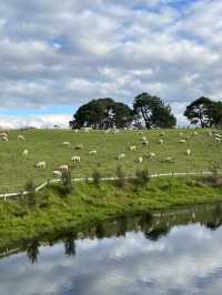 🇳🇿🐑 Hobbiton's Secret Beauty: Where Rolling Green Meets Crystal Waters! 🌊