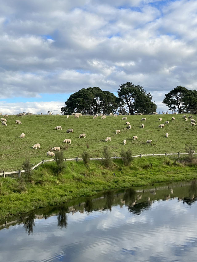 🇳🇿🐑 Hobbiton's Secret Beauty: Where Rolling Green Meets Crystal Waters! 🌊