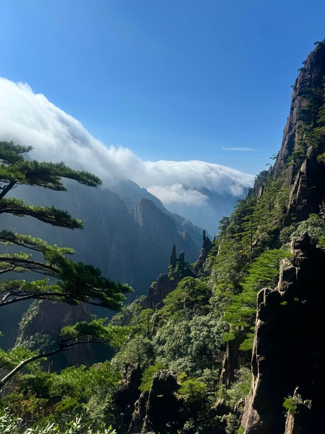黃山之美，人間值得 這份攻略趕緊碼住！