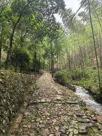 衢州仙霞關|青石古道印滄桑 蒼松迎客越千年