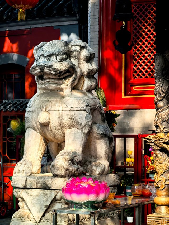 鬧市中的千年禪意！北京廣化寺隱秘攻略