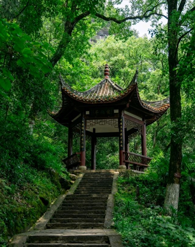 郴州保姆級攻略帶你遊玩絕美景點