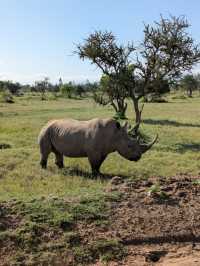 Exceptional Safari with a Skilled Guide