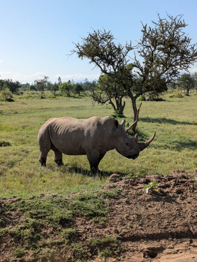 Exceptional Safari with a Skilled Guide
