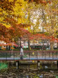 還有1個月｜魔都市區的調色盤公園即將上線