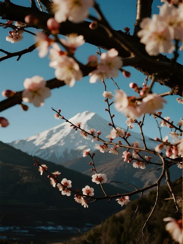 親子旅行攻略｜帶娃衝南極洛！住既下山+輕徒步攻略​