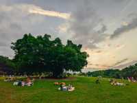 深圳中山公園｜陰雨天也能拍出超絕氛圍感！