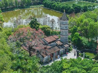 A New Citywalk Choice for the Holidays: Hidden Baode Ancestral Hall in Huadu, Guangzhou, A Quiet Retreat Amidst the Bustle
