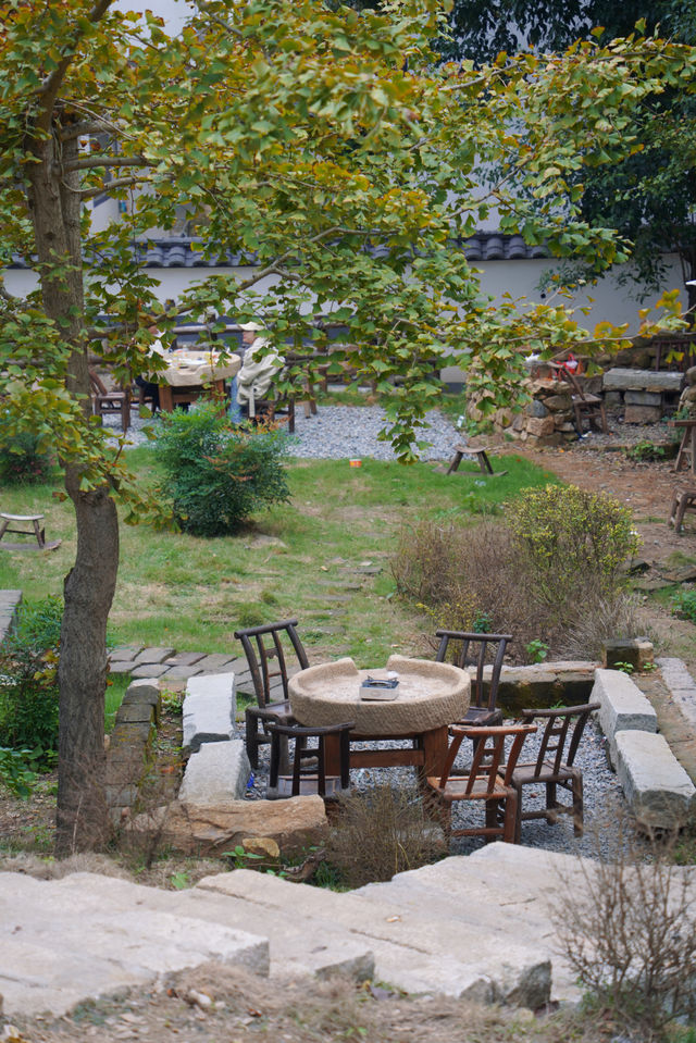 武漢2h自駕「中國甜柿第一村」的賞秋攻略